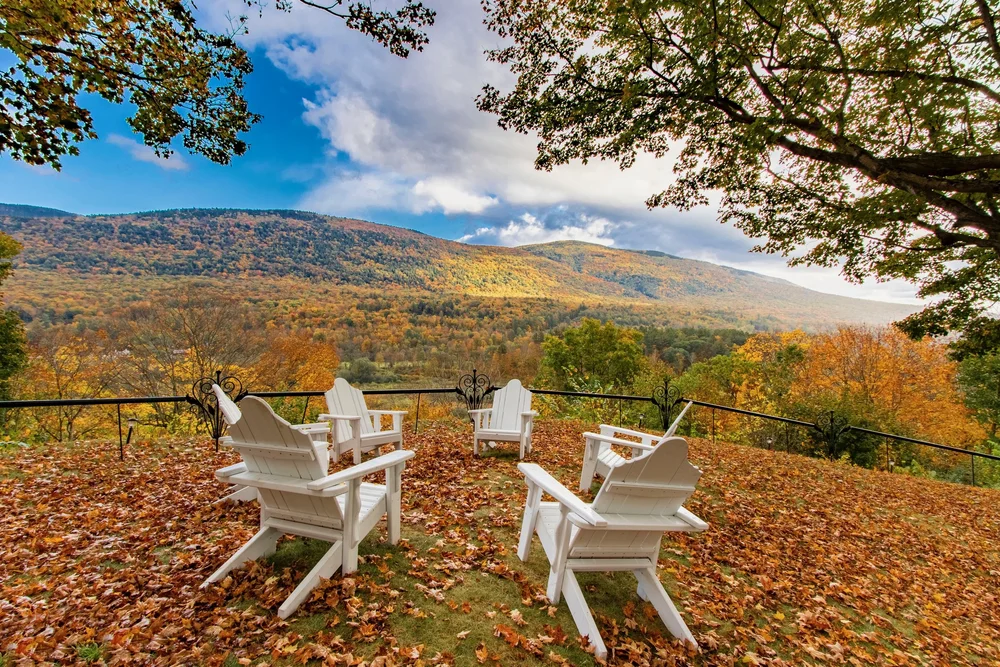 Fall+view+aderondak+chairs+The+Wilburton+Alex+Vincent (1)