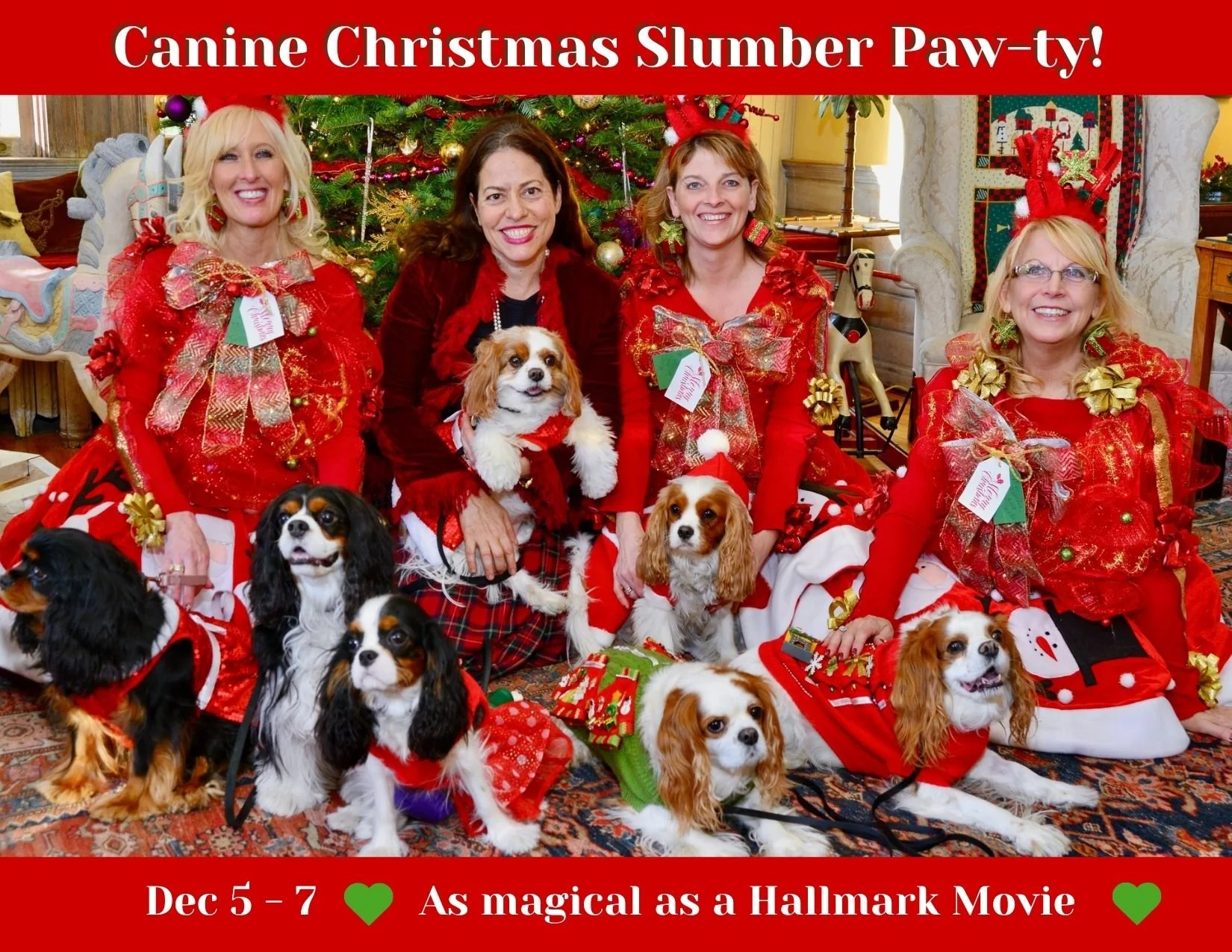 A festive gathering featuring women in red dresses with holiday decorations, surrounded by several small dogs in Christmas outfits.