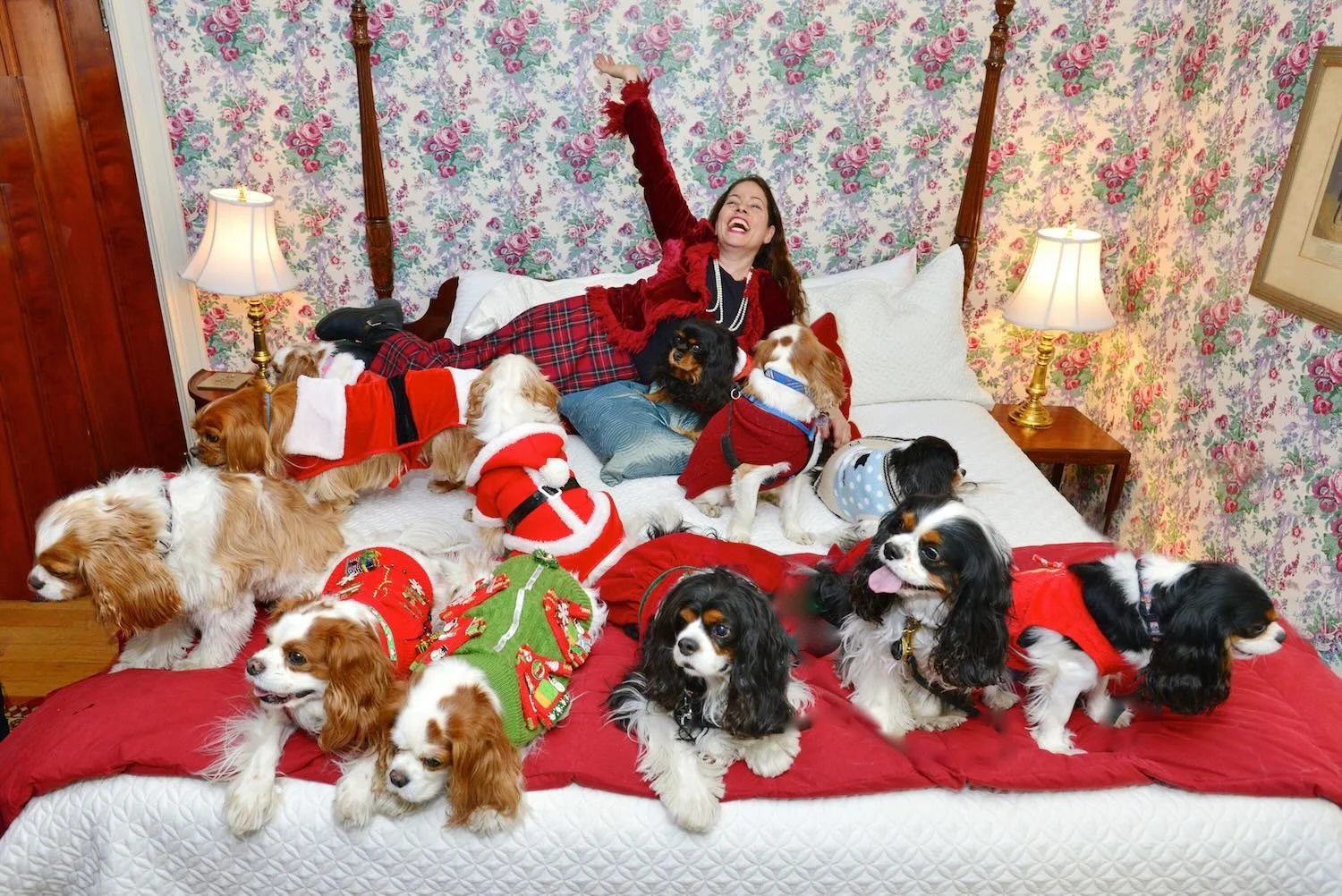 a person sitting on a bed with a group of dogs