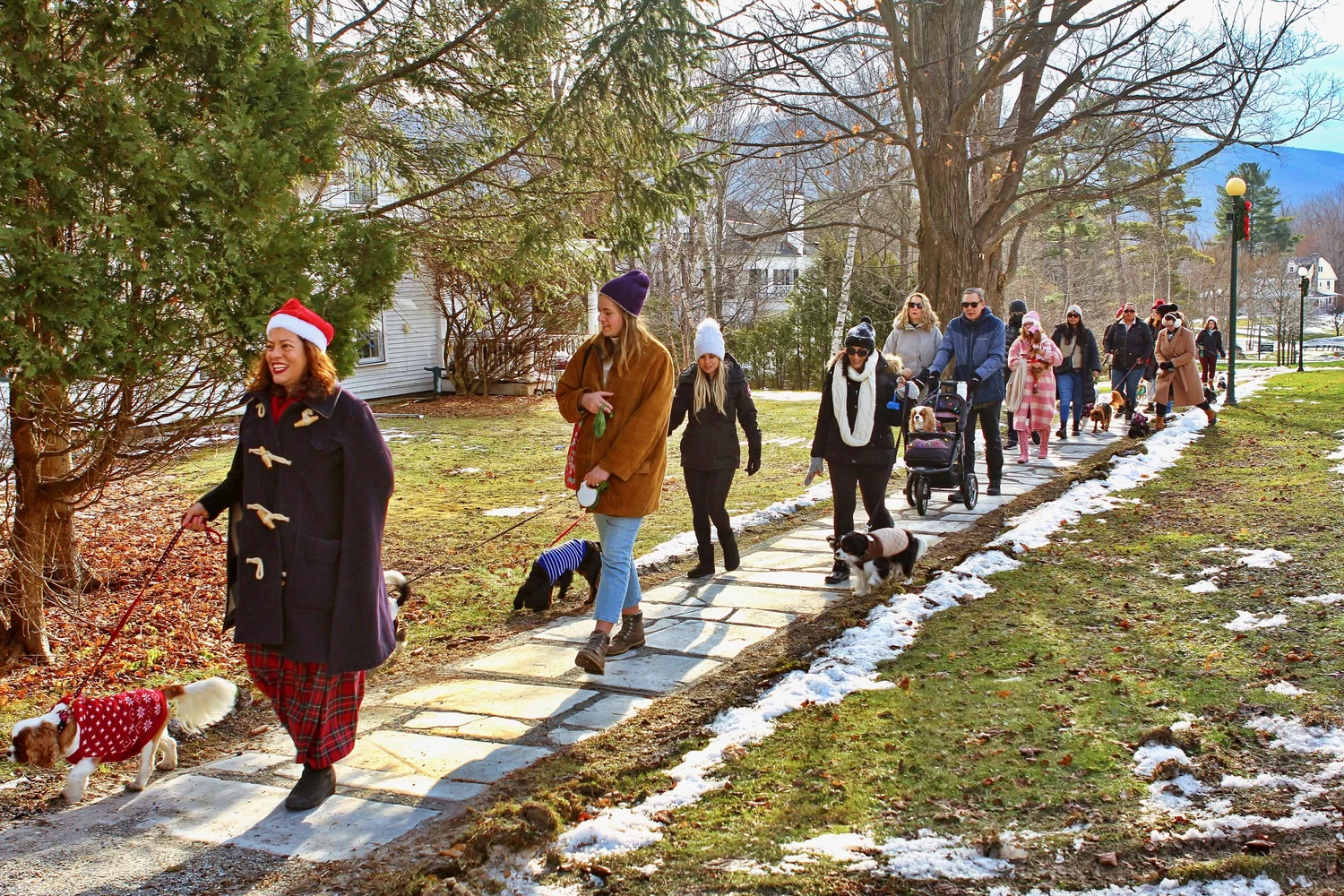 a group of people walking dogs on a path