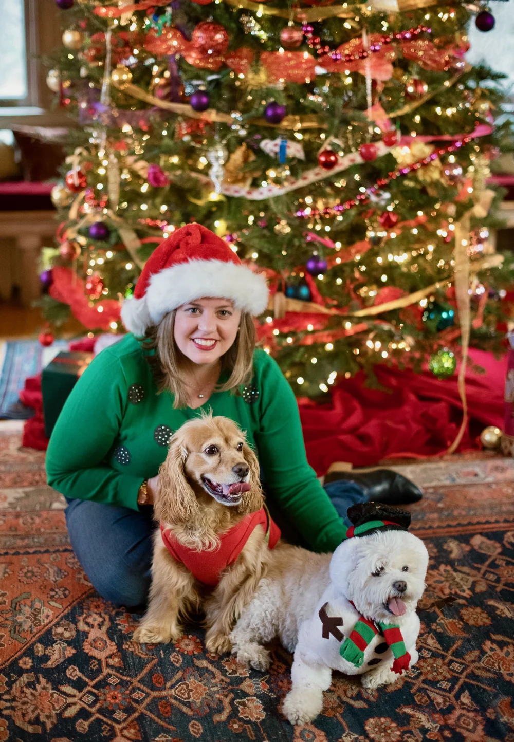 a person sitting next to dogs